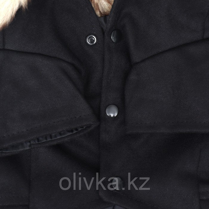 Пальто для собак, размер XS (ДС 20, ОГ 29-30, ОШ 20-21 см), чёрное - фото 10 - id-p113238419