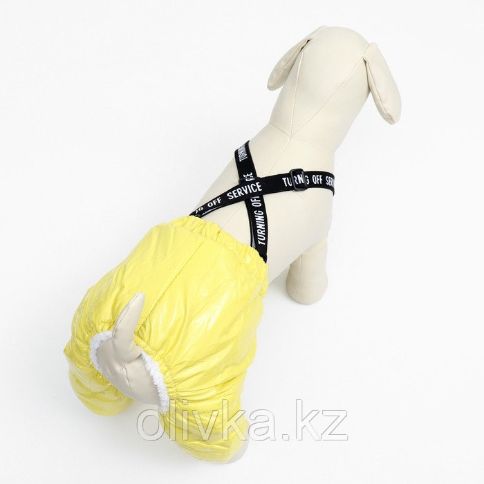 Комбинезон-штаны для собак, размер XS (ДС 26, ОТ 28 см), жёлтый - фото 3 - id-p113238425