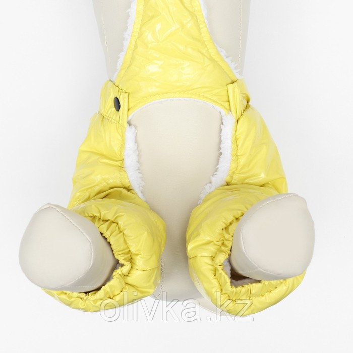 Комбинезон-штаны для собак, размер XS (ДС 26, ОТ 28 см), жёлтый - фото 6 - id-p113238425