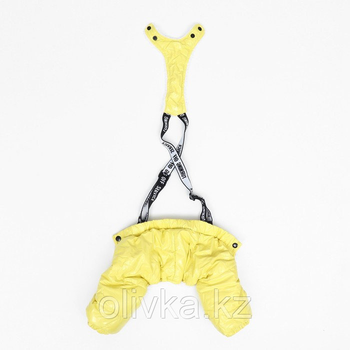 Комбинезон-штаны для собак, размер XS (ДС 26, ОТ 28 см), жёлтый - фото 8 - id-p113238425