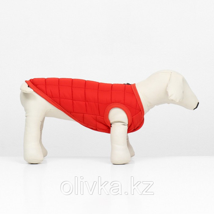 Куртка для собак "Nice", размер XS (ДС 20 см, ОШ 20 см, ОГ 28 см), красная - фото 2 - id-p113239540