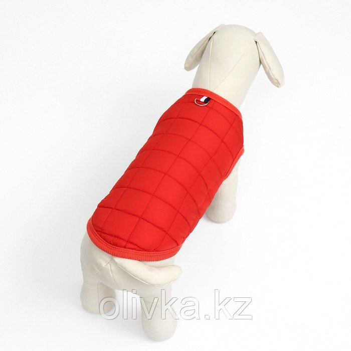 Куртка для собак "Nice", размер XS (ДС 20 см, ОШ 20 см, ОГ 28 см), красная - фото 3 - id-p113239540