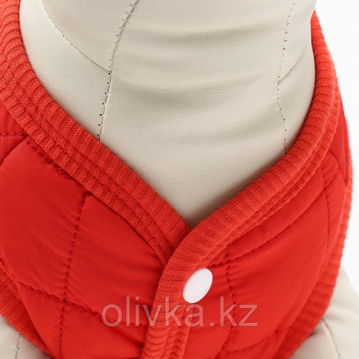 Куртка для собак "Nice", размер XS (ДС 20 см, ОШ 20 см, ОГ 28 см), красная - фото 5 - id-p113239540