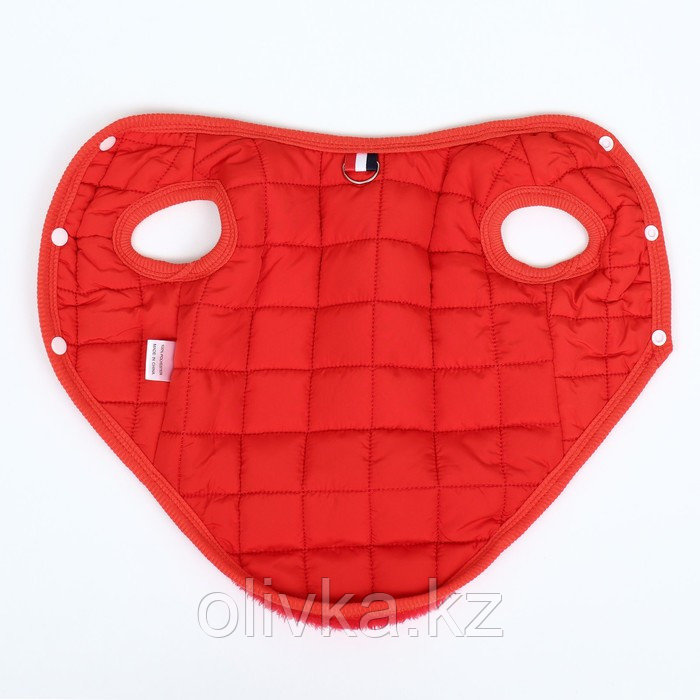 Куртка для собак "Nice", размер XS (ДС 20 см, ОШ 20 см, ОГ 28 см), красная - фото 7 - id-p113239540
