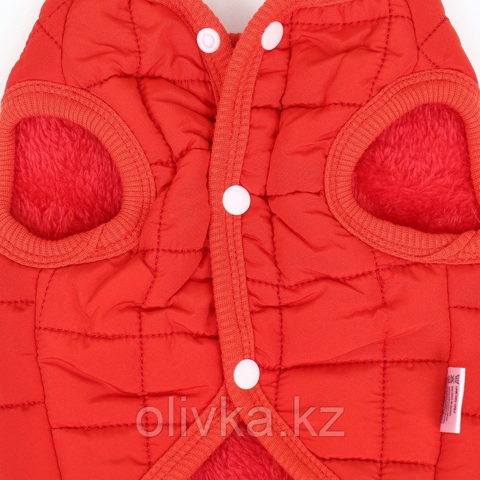 Куртка для собак "Nice", размер XS (ДС 20 см, ОШ 20 см, ОГ 28 см), красная - фото 9 - id-p113239540
