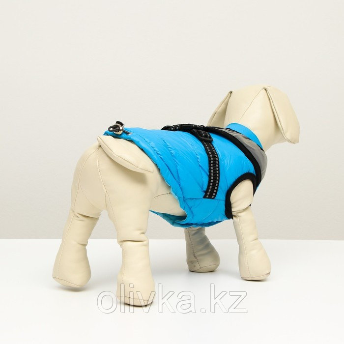 Куртка для собак со светоотражающей шлейкой, размер 16 (ДС 36, ОГ 46, ОШ 35), голубая - фото 3 - id-p113233338