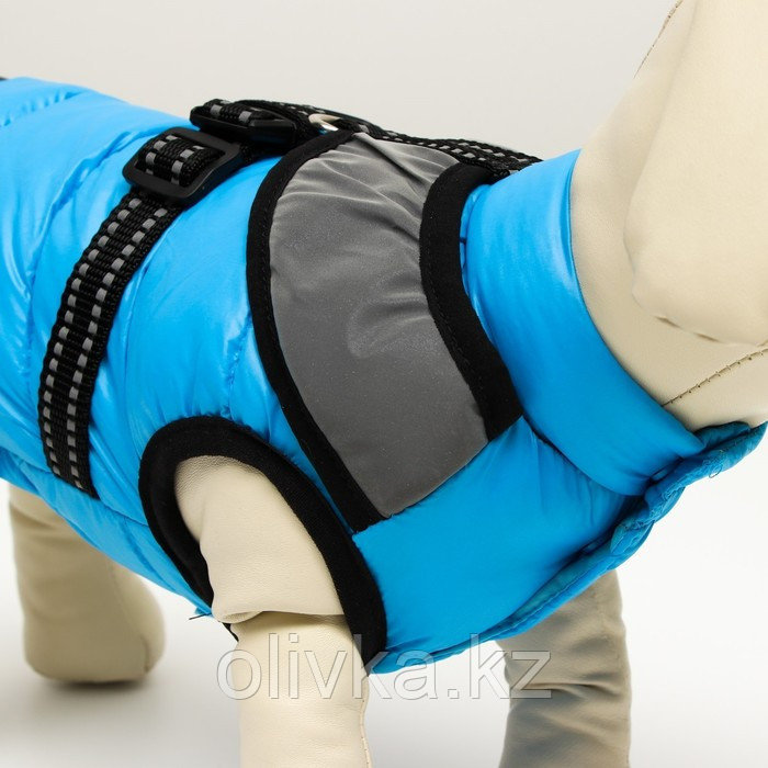 Куртка для собак со светоотражающей шлейкой, размер 16 (ДС 36, ОГ 46, ОШ 35), голубая - фото 5 - id-p113233338