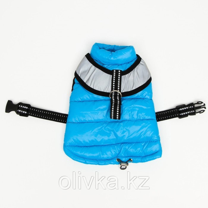Куртка для собак со светоотражающей шлейкой, размер 16 (ДС 36, ОГ 46, ОШ 35), голубая - фото 10 - id-p113233338