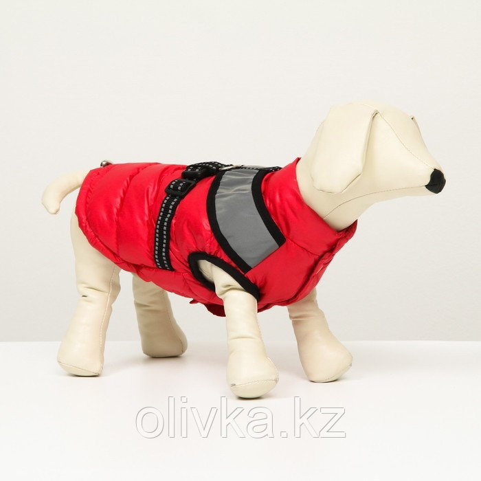 Куртка для собак со светоотражающей шлейкой, размер14 (ДС 32 ОГ 42 ОШ 31), красная - фото 1 - id-p113233339