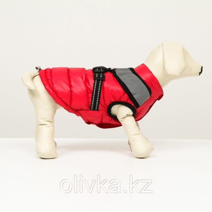Куртка для собак со светоотражающей шлейкой, размер14 (ДС 32 ОГ 42 ОШ 31), красная - фото 2 - id-p113233339