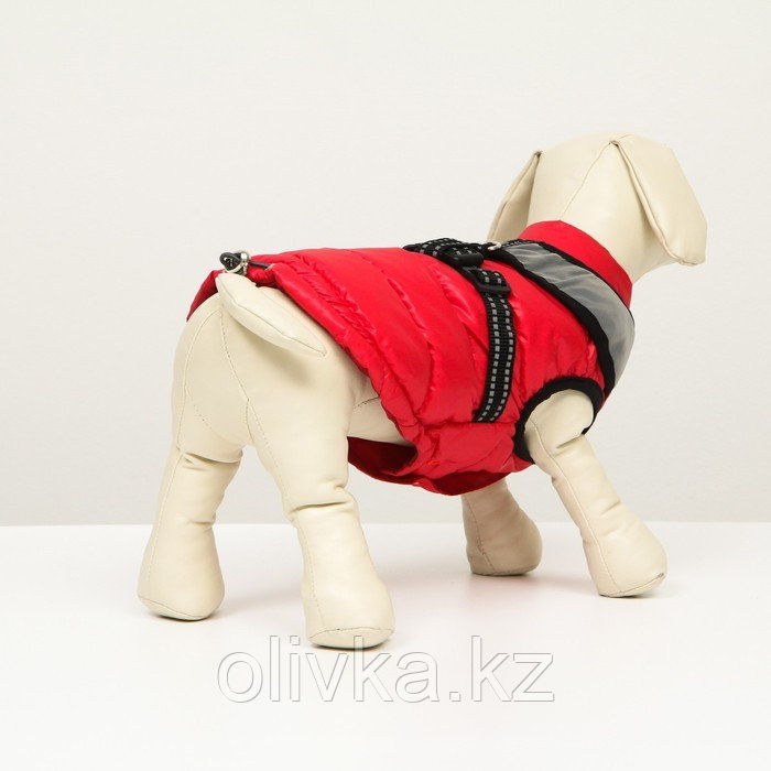 Куртка для собак со светоотражающей шлейкой, размер14 (ДС 32 ОГ 42 ОШ 31), красная - фото 3 - id-p113233339