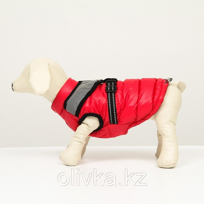 Куртка для собак со светоотражающей шлейкой, размер14 (ДС 32 ОГ 42 ОШ 31), красная - фото 4 - id-p113233339