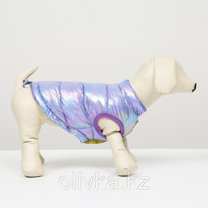 Куртка для собак двухсторонняя с утяжкой, размер 18 (ДС 40, ОГ 50, ОШ 38),фиолетовая/жёлтая - фото 2 - id-p113233381