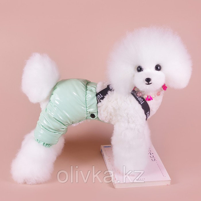 Комбинезон-штаны для собак, размер M (ДС 36, ОТ 40 см), мятный - фото 1 - id-p113238621