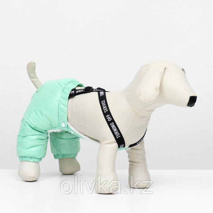 Комбинезон-штаны для собак, размер M (ДС 36, ОТ 40 см), мятный - фото 2 - id-p113238621