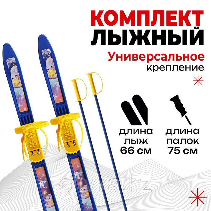Комплект лыжный детский: лыжи 66 см, палки 75 см - фото 1 - id-p113239666