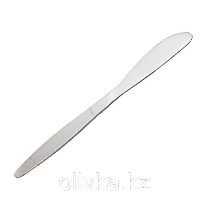 Нож столовый Tescoma Praktik, 2 шт - фото 1 - id-p113245098