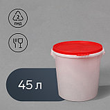 Бак пищевой «Для солений», 45 л, с герметичной крышкой, цвет МИКС, фото 9