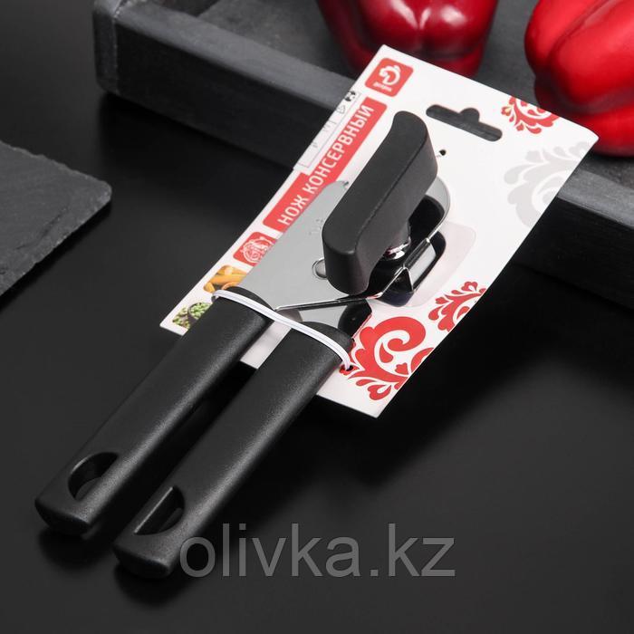 Консервный нож-открывалка Доляна «Краски», 2 в 1, 19×6 см, цвет МИКС - фото 4 - id-p113252574