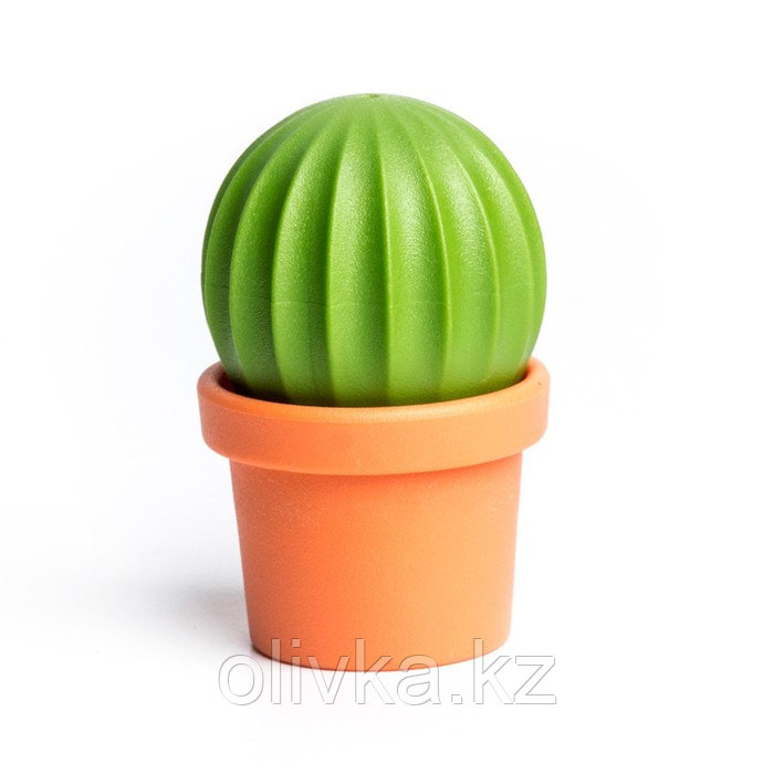 Набор для специй Cactus - фото 1 - id-p113249070