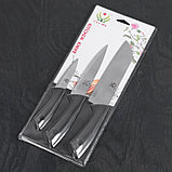 Набор кухонных ножей «Энеолит», 3 предмета: лезвие 8,5 см, 15 см, 17 см, цвет чёрный, фото 3