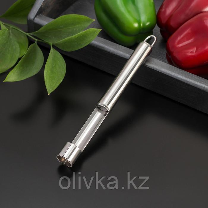 Нож для сердцевины Доляна «Металлик», 21 см, цвет серебряный