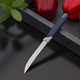 Нож кухонный Доляна «Страйп», лезвие 11,5 см, фото 2