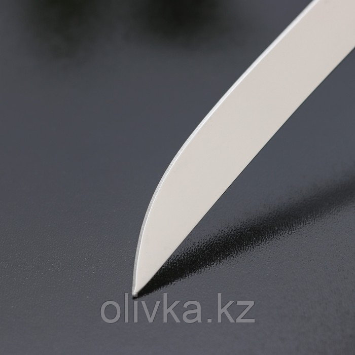 Нож кухонный Доляна «Страйп», лезвие 11,5 см - фото 4 - id-p113245331