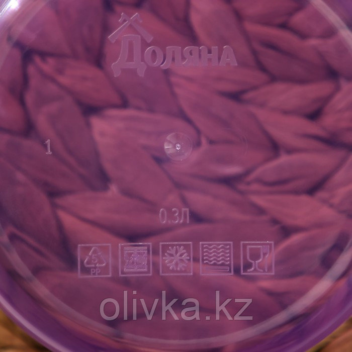 Контейнер круглый Доляна, пищевой, 300 мл, цвет фиолетовый - фото 4 - id-p113245359