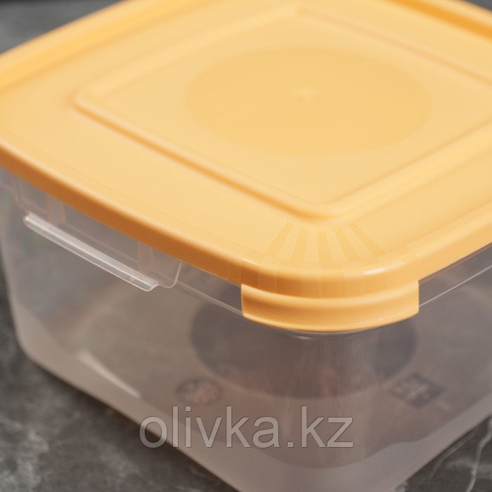 Набор пищевых контейнеров «Каскад», 2 шт: 460 мл, 1 л, цвет микс - фото 7 - id-p113245369