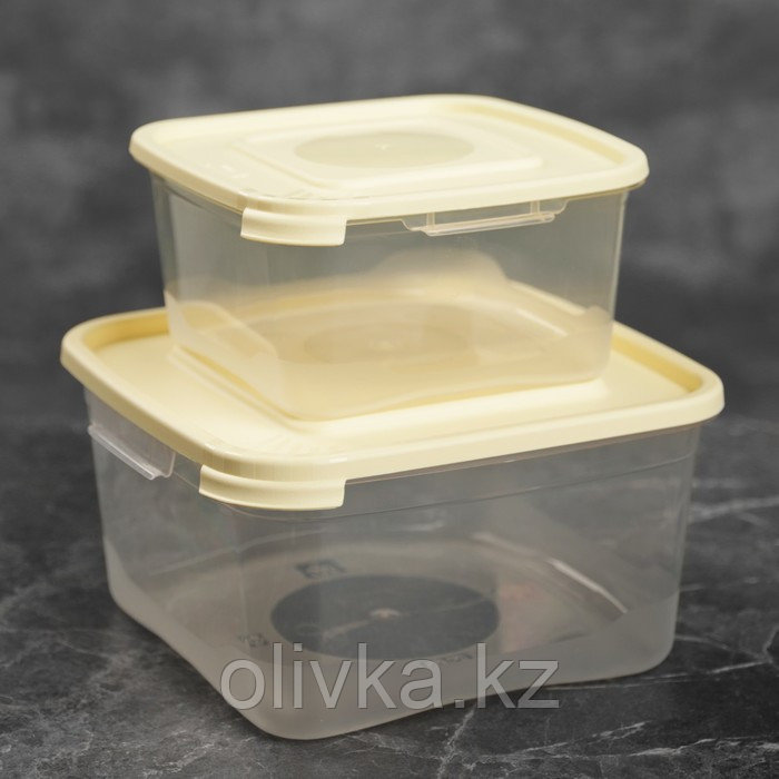 Набор пищевых контейнеров «Каскад», 2 шт: 460 мл, 1 л, цвет микс - фото 10 - id-p113245369