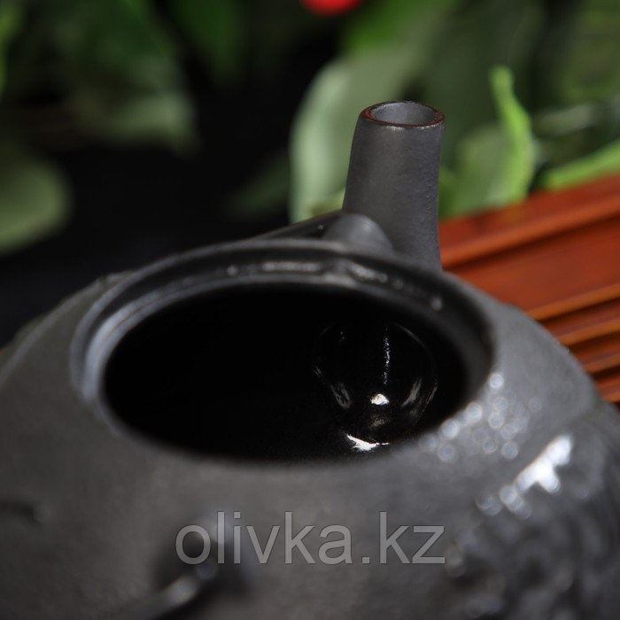 Чайник чугунный Доляна «Чёрный тигр», 700 мл, с ситом, эмалированное покрытие внутри, цвет чёрный - фото 3 - id-p113254378