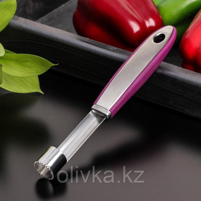 Нож для сердцевины Доляна Blаde, 21 см, ручка sоft-tоuch, цвет фиолетовый - фото 1 - id-p113260454