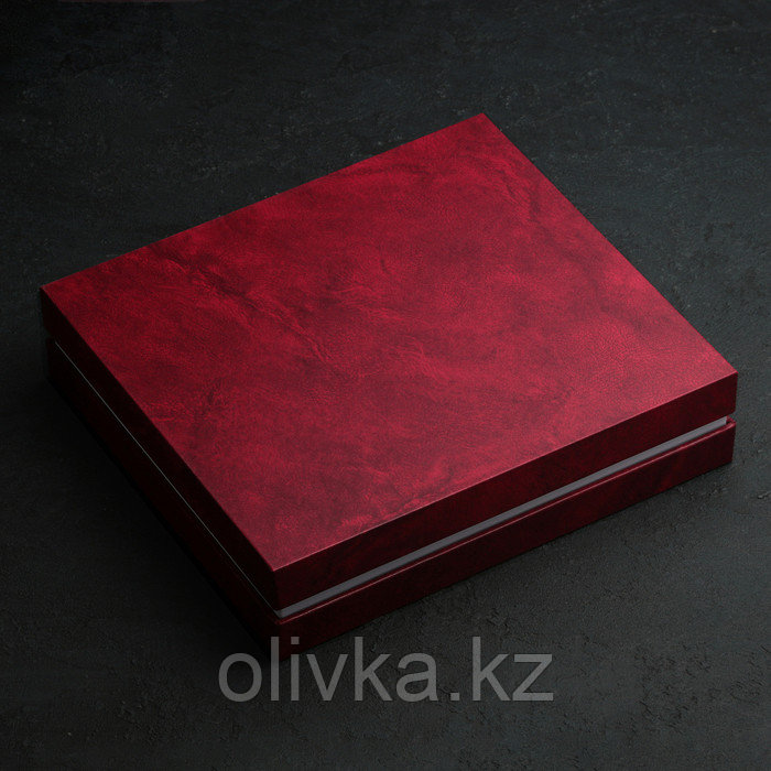 Набор столовый «Торжество», 24 предмета, толщина 2 мм, декоративная коробка, цвет серебряный - фото 5 - id-p113243599