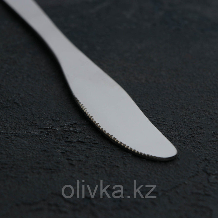 Нож столовый из нержавеющей стали Доляна Gleen, длина 22 см, толщина 2 мм, цвет серебряный - фото 3 - id-p113256333