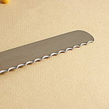 Нож для бисквита, крупные зубчики, ручка пластик, рабочая поверхность 30 см, толщина лезвия 1,8 мм, фото 3