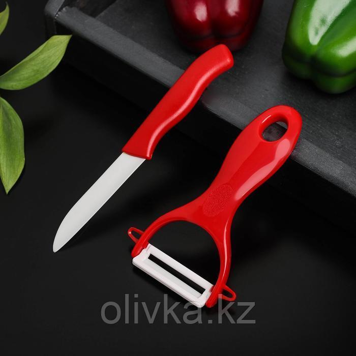 Набор кухонный Доляна, 2 предмета: нож 7 см, овощечистка цвет МИКС - фото 2 - id-p113242720