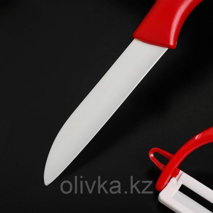 Набор кухонный Доляна, 2 предмета: нож 7 см, овощечистка цвет МИКС - фото 3 - id-p113242720