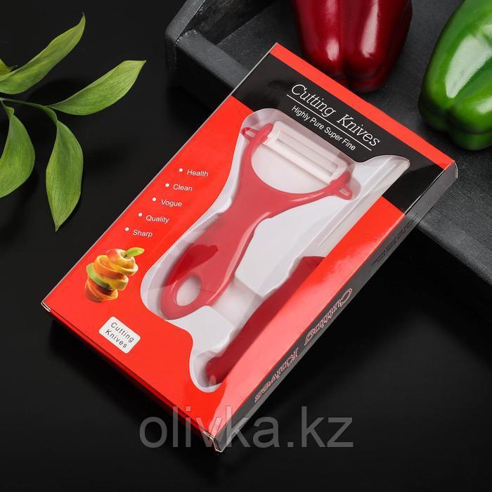 Набор кухонный Доляна, 2 предмета: нож 7 см, овощечистка цвет МИКС - фото 5 - id-p113242720