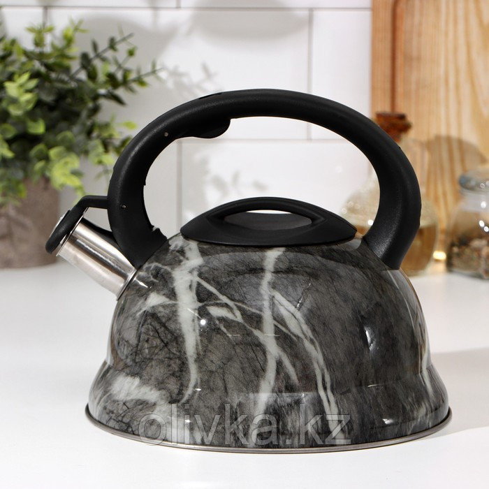 Чайник со свистком из нержавеющей стали Доляна «Эшфорд», 2,8 л - фото 1 - id-p113252897