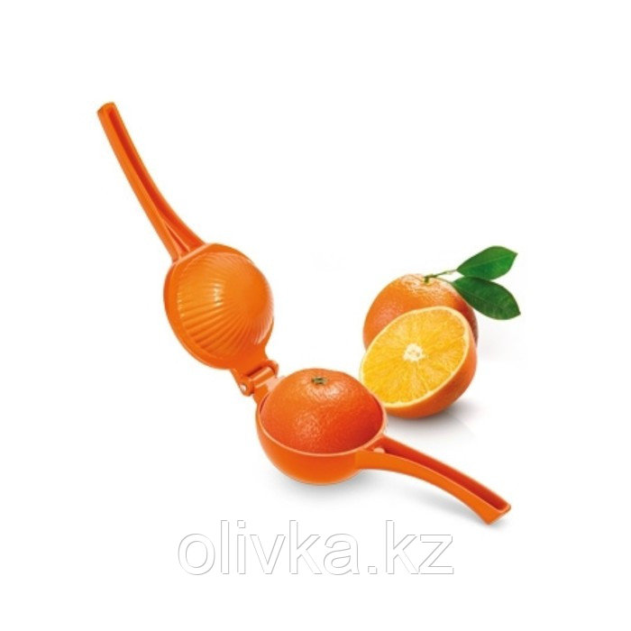 Соковыжималка для апельсинов Tescoma Grandchef - фото 3 - id-p113273042