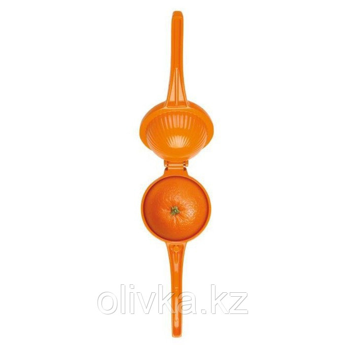 Соковыжималка для апельсинов Tescoma Grandchef - фото 4 - id-p113273042