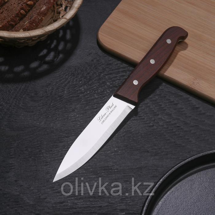 Нож кухонный «Классик», лезвие 13 см, деревянная рукоять - фото 1 - id-p113252950