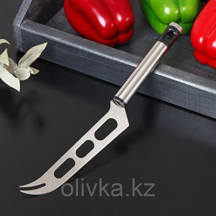Нож для сыра Доляна Fargo, 26×3×2 см, нержавеющая сталь, цвет серебряный