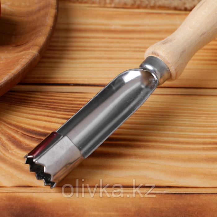 Нож для сердцевины яблока с деревянной ручкой - фото 2 - id-p113256647