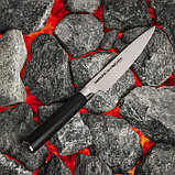 Нож кухонный Samura Mo-V, универсальный, лезвие 12 см, фото 2