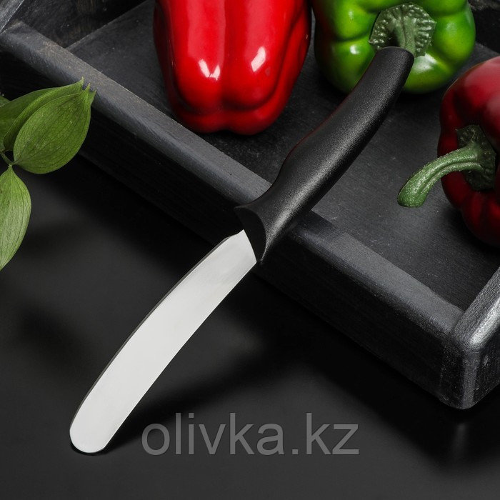 Нож для масла Доляна «Грайм», лезвие 7,5 см, цвет чёрный - фото 3 - id-p113263380