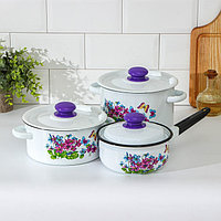 Набор посуды «Фиалки», 3 предмета: 2 л, 3,5 л, ковш 1,5 л, эмалированные крышки, индукция, цвет МИКС