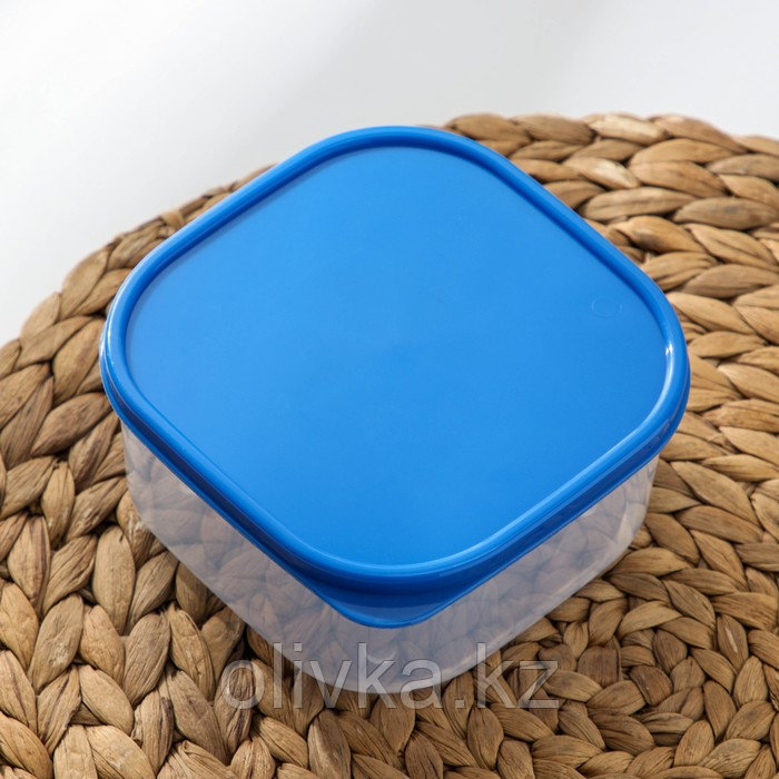 Набор контейнеров пищевых Доляна, квадратных, 2 шт: 450 мл, 700 мл, цвет голубой - фото 3 - id-p113244870