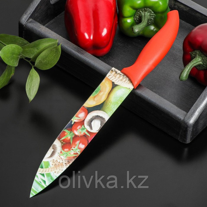 Нож с антиналипающим покрытием Доляна «Урожай» шеф, лезвие 20 см - фото 3 - id-p113263382